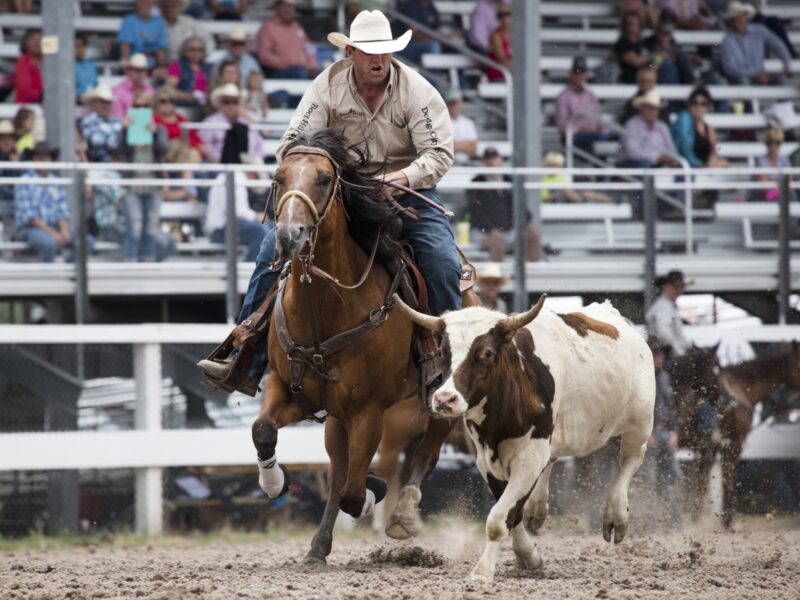 Rodeo image from rawpixel id 582726 jpeg